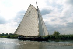 MDrace_Imposante-verschijning