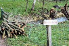 De-bomen-geknot-en-eieren-te-koop