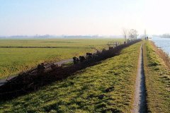 Het-oude-jaagpad-langs-de-Vlaardingse-Vaart-al-jaren-in-gebruik-als-fiets-en-wandelpad