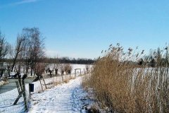 Trekkade-ter-hoogte-van-de-Zonnehoeve