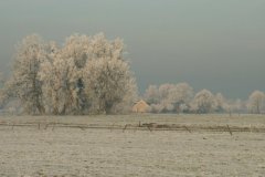 boerderijtje-in-Willemoordseweg