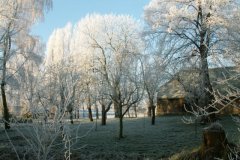 bomen-en-stal-Zonnehoeve