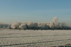 huizen-en-schapen-langs-de-Vaart