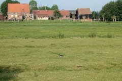 boerderij-in-Woudweg