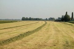 klaar-voor-de-opraapwagen